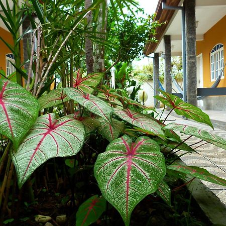 Villa Do Sonho Pousada Hotel Araquari Eksteriør bilde