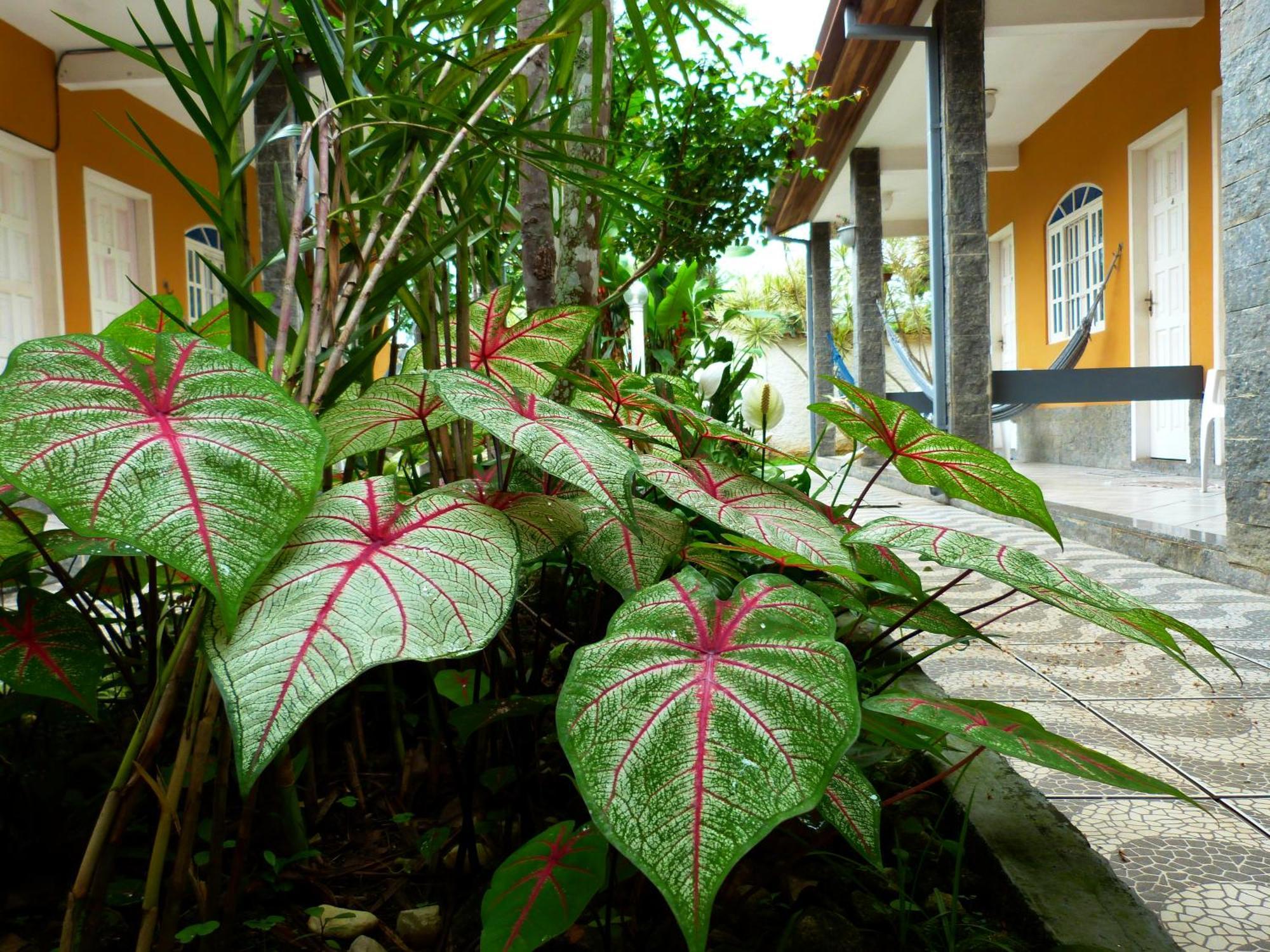 Villa Do Sonho Pousada Hotel Araquari Eksteriør bilde